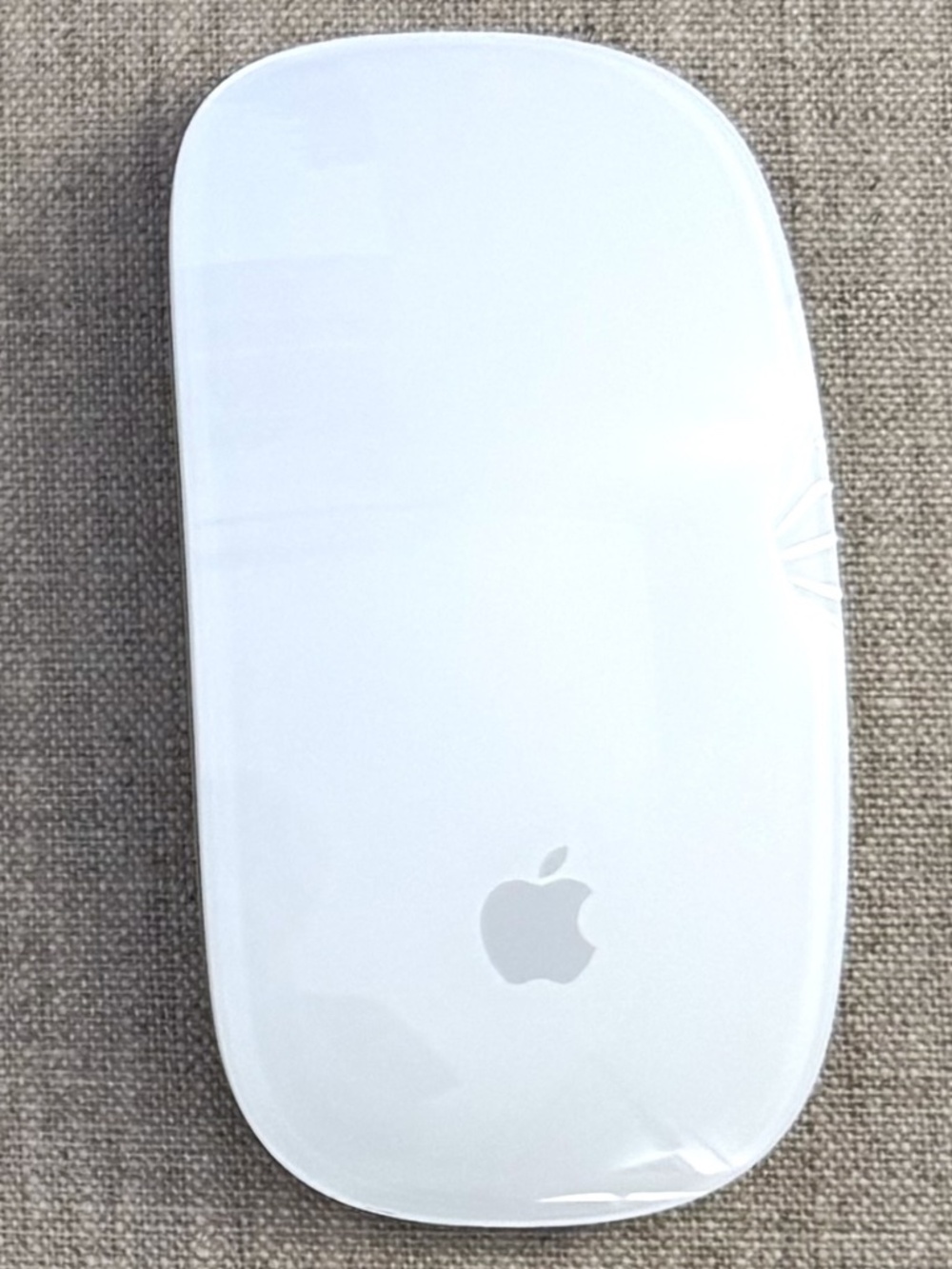 Apple Magic Mouse, with charging cable.